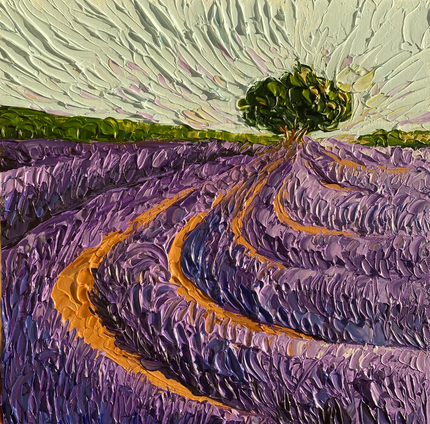 LAVENDER FIELDS 30.5x30.5 cm acrylic on canvas original painting